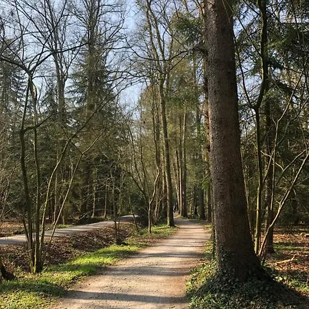 Anni Vakantiehuis Bad Zwischenahn