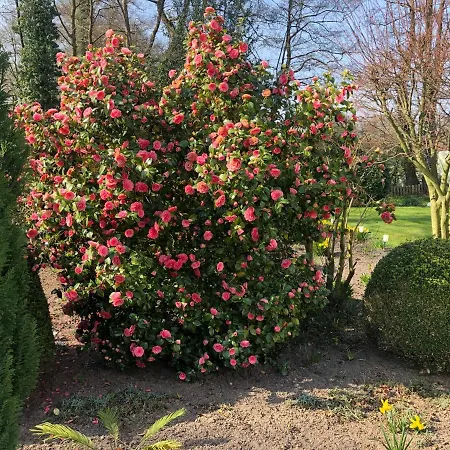 Anni Holiday home Bad Zwischenahn