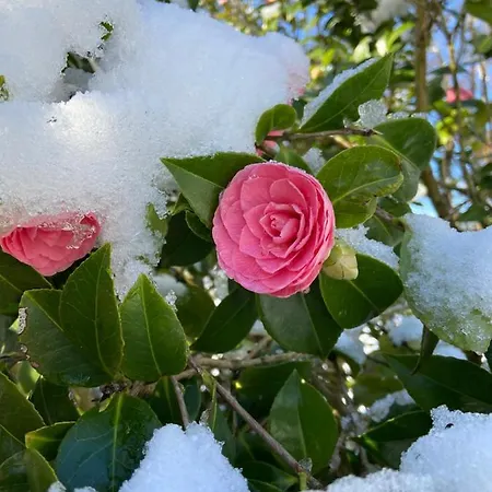 Anni Bad Zwischenahn