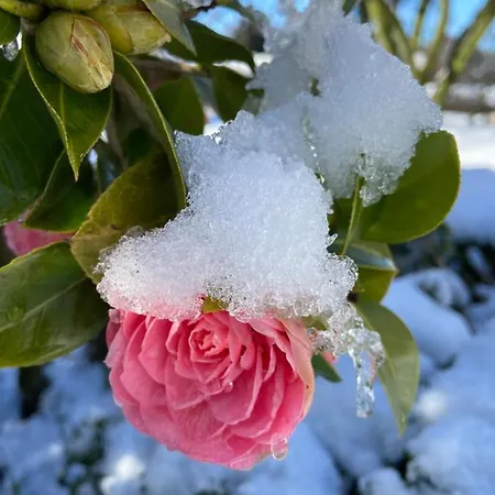 Nyaraló Anni Bad Zwischenahn