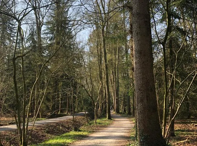 Anni 別荘 バート・ツヴィッシェンアーン