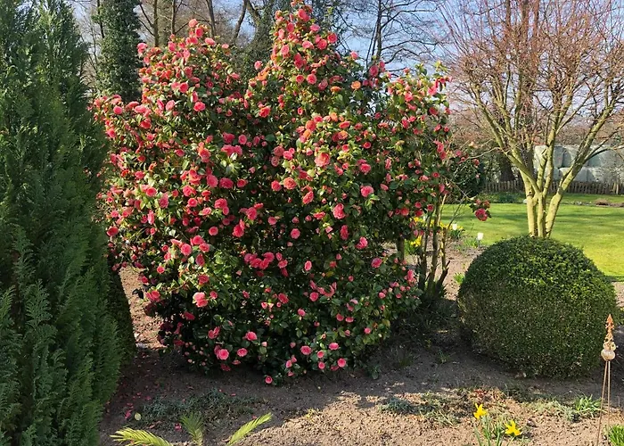 Anni Feriehus Bad Zwischenahn