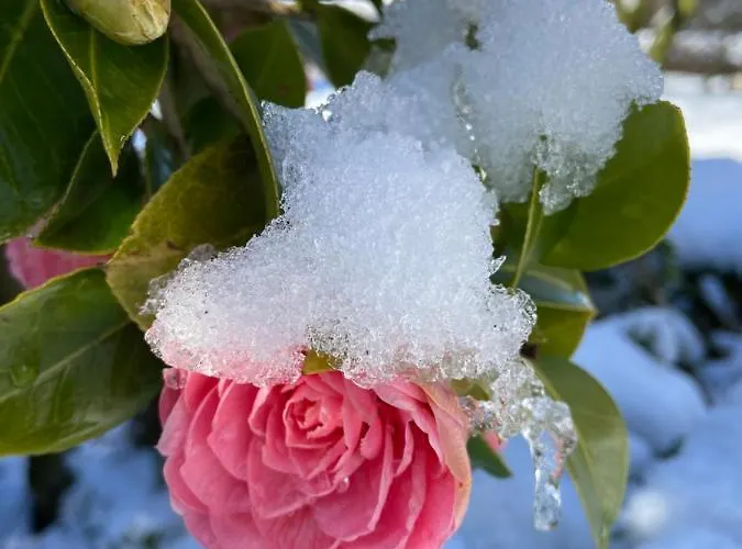 Feriehus Anni Bad Zwischenahn