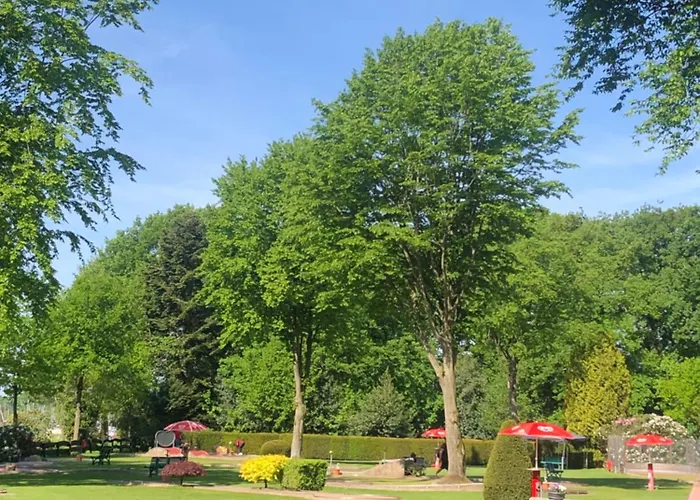 Anni Bad Zwischenahn